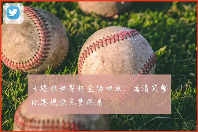 卡塔尔世界杯全场回放：高清完整比赛视频免费观看